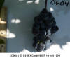 Cluster - CC 0604