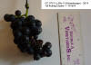 Cluster 1 - CC 0715