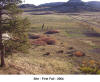 Site First Fall