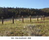 Site Southwest View